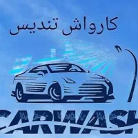 کار در کارواش (آقا و خانم)