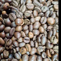 پخش دان قهوه کلاسیک(عمده) (جزئی)|عمدهفروشی|کرج, شهرک طالقانی|دیوار