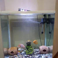 آکواریوم شیشه خم شرکتی