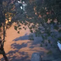 اجاره منزل راه مشترک طبقه سوم