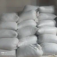 گندم دروم و گندم مهرگان