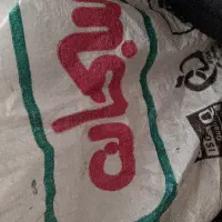 سویا سبحان