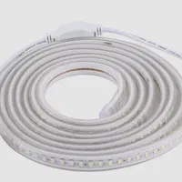 ریسه نور مخصوص بیس ماه خام و تابلو ماه خام