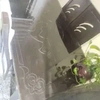 میز نهارخوری چوبی|میز و صندلی غذاخوری|مشهد, حضرت حجت|دیوار