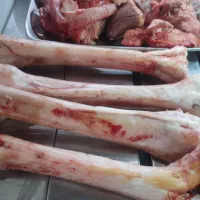 گوسفنده زنده گوشت جگر سیرابی|خوردنی و آشامیدنی|درح, |دیوار