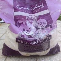 خاک گربه