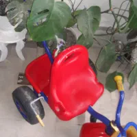 سه چرخ سالم