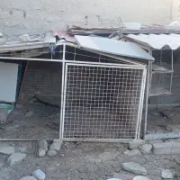 قفس بزرگ ۲×۲|لوازم جانبی حیوانات|ارومیه, |دیوار