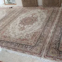 فرش شیش متری|فرش|کرمانشاه, |دیوار