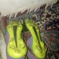 کفش چمنی فقد کارتون نداره