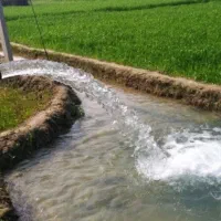 33 دقیقه سهام آب چاه کشاورزی راوند