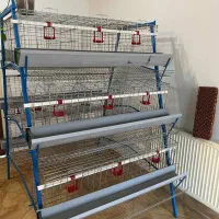 قفس مرغ تخمگذار مرغداری