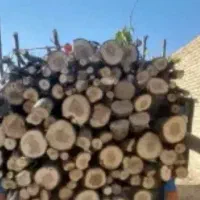 خرید و فروش چوب|خدمات باغبانی و درختکاری|ملایر, |دیوار