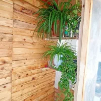 یک عدد گلخانه چوبی چرخ دار|گل و گیاه طبیعی|شاهین‌شهر, گزبرخوار|دیوار