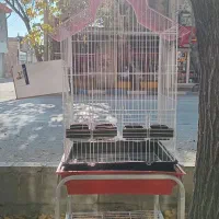 فروش انواع قفس