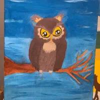 بوم نقاشی جغد