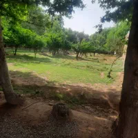 ورامین.زمین.باغ.معاوضه با خودرو و اپارتمان