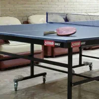 میز پینگ پنگ دی اچ اس