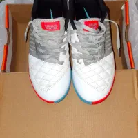 کفش سالنی لونارگتو