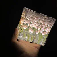 چراغ خواب دشت گل لاله بینهایت