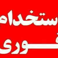 صندوقدار خانم