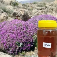 عسل لرستان