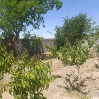 فروش باغ ویلا|فروش خانه و ویلا|بیرجند, |دیوار