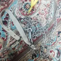 زنجیر سگ پاپه