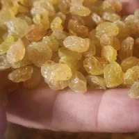 استخدام برای مسئول فنی شرکت تولید و صادرات خشکبار