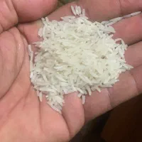 برنج فجر سوزنی ۹۰روزه به شرط پخت بعلاوه لاشه تمیز