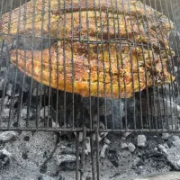 باغ  جهت اجاره