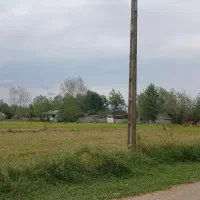 فروش زمین باغی کشاورزی|فروش زمین و ملک کلنگی|رضوانشهر, |دیوار