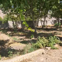 فروش /باغ /فاروق دربهترین لوکیشن|فروش خانه و ویلا|مرودشت, مسجد رسول‎|دیوار