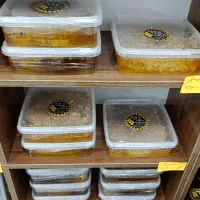 عسل کوهستان درمانی،معجون،بره موم،گرده گل،ژل رویال|خوردنی و آشامیدنی|مشهد, هنرور|دیوار