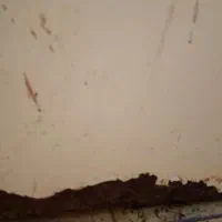 فروش یخچال وترازو|فروشگاه و مغازه|رشت, گلزاران|دیوار