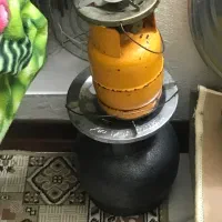 دو عدد پیکنیک