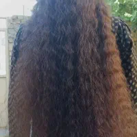 کوتا کردن مو قیمت نهایی