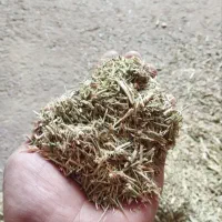 فروش خارشتر  مرغوب وتمیز