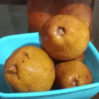 خوج  محلی آبدار بزرگ با سرکه