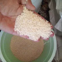 برنج‌علی‌کاظمی‌درجه۱