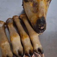 ی عدد  گله پاچه  بزرگ