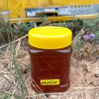 عسل طبیعی از تولید کننده|خوردنی و آشامیدنی|تهران, گیشا|دیوار