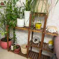 پایه استند گل|صنایع دستی و سایر لوازم تزئینی|بندرعباس, |دیوار