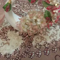 سرویس ظروف پذیرایی میوه خوری|ظروف سرو و پذیرایی|تهران, بازار|دیوار