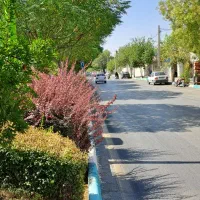 زمین-نقلی-تو-غلاف-منتظری-شمالی