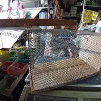 قفس کوچک و بزرگ موش فاضلابی وچسب موش