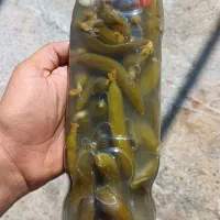 خیارشور درجه ۱|خوردنی و آشامیدنی|اشترینان, |دیوار