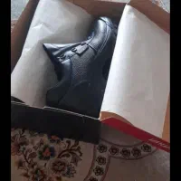 کتونی کارکفش|کیف، کفش، کمربند|قم, شهر قائم|دیوار