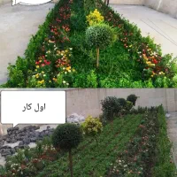 خدمات باغبانی هرسکاری کودهی بیل.زنی|خدمات باغبانی و درختکاری|پرند, فاز ۲|دیوار