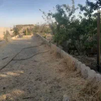 باغچه-مرتب-سند-دار